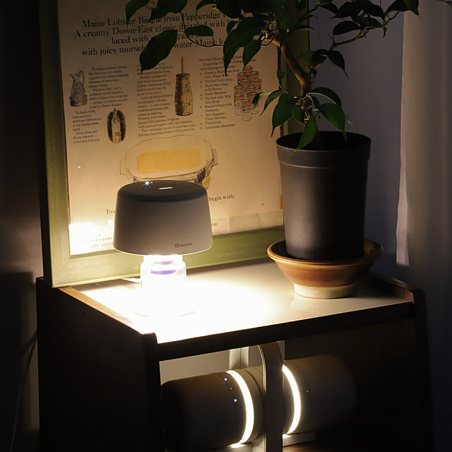 haruさんの実例写真