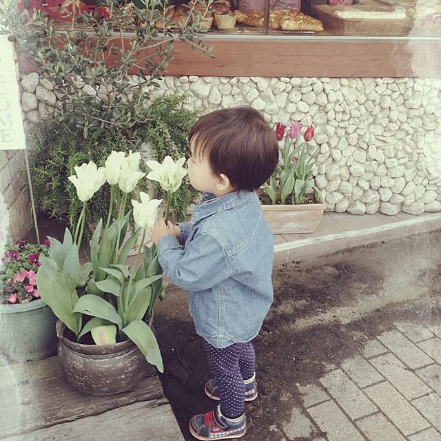 kanodeさんの実例写真