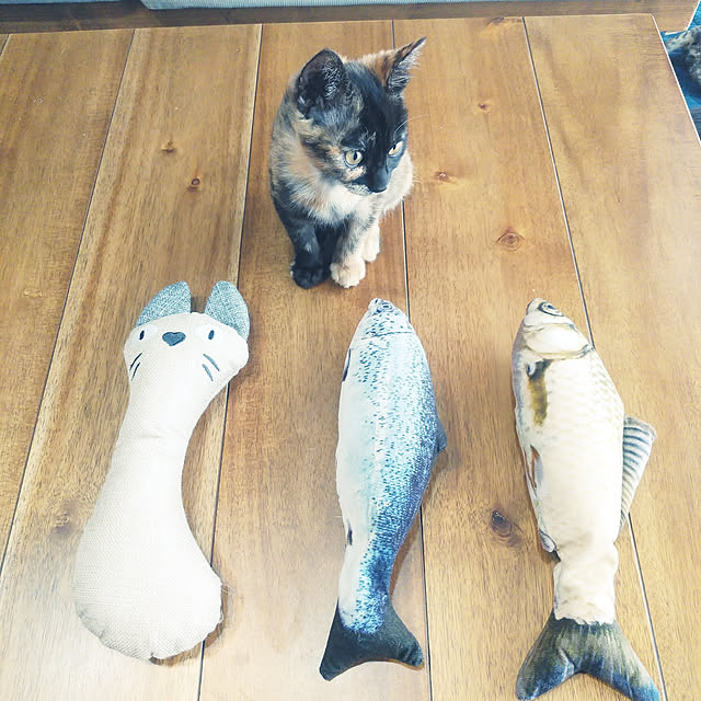 annさんの実例写真