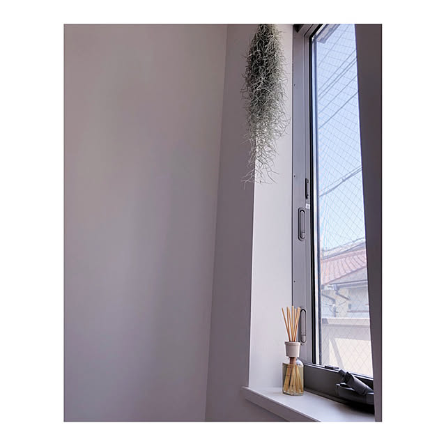 noelさんの実例写真