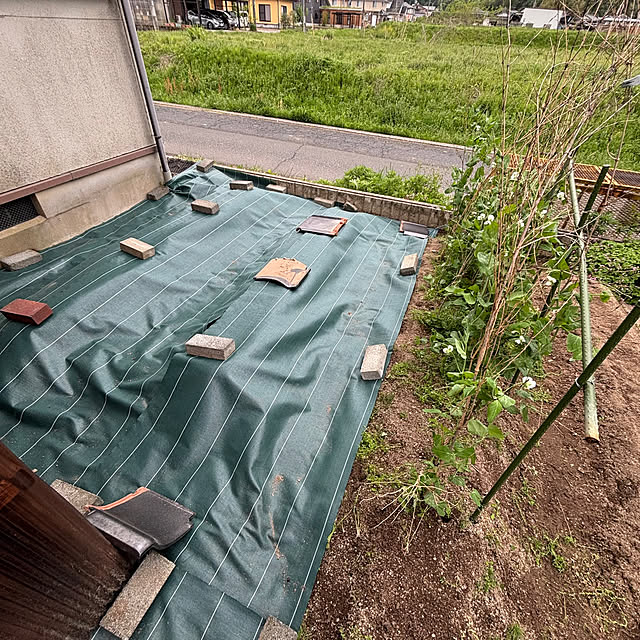 cyaroさんの部屋