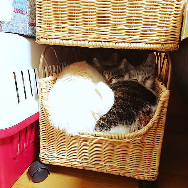 nachiさんの実例写真