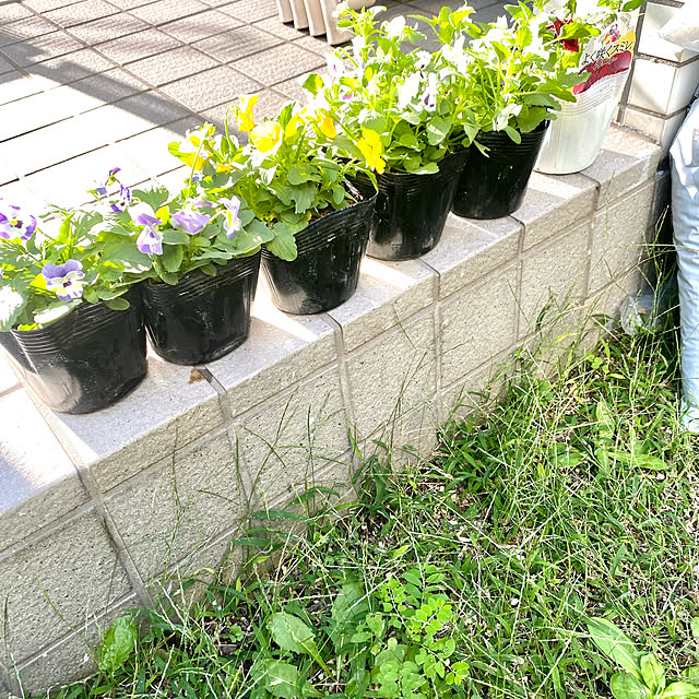 YuuKoさんの実例写真