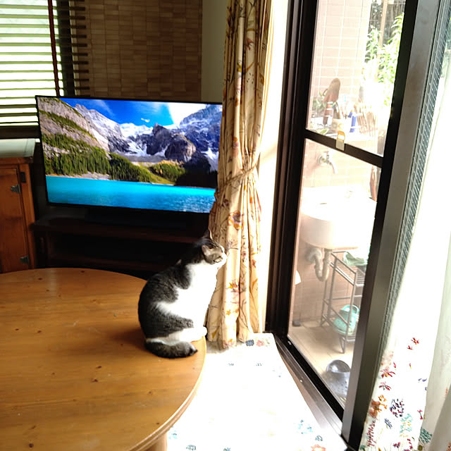 okyosan101さんの実例写真