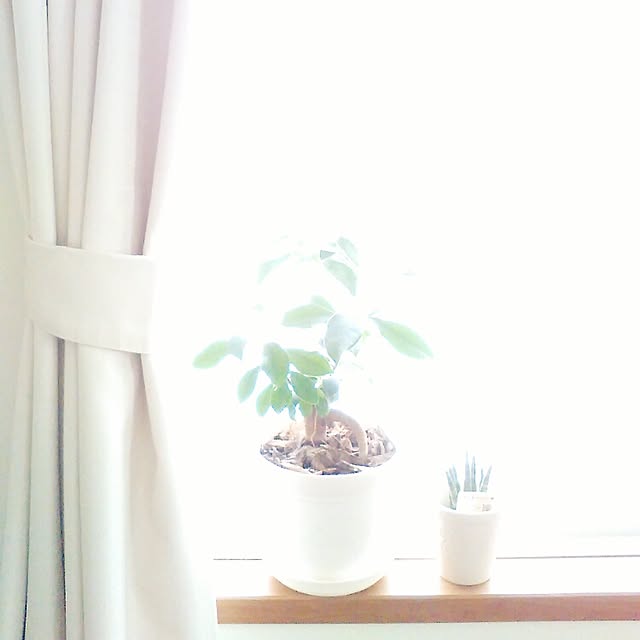 sunnylavenderさんの実例写真