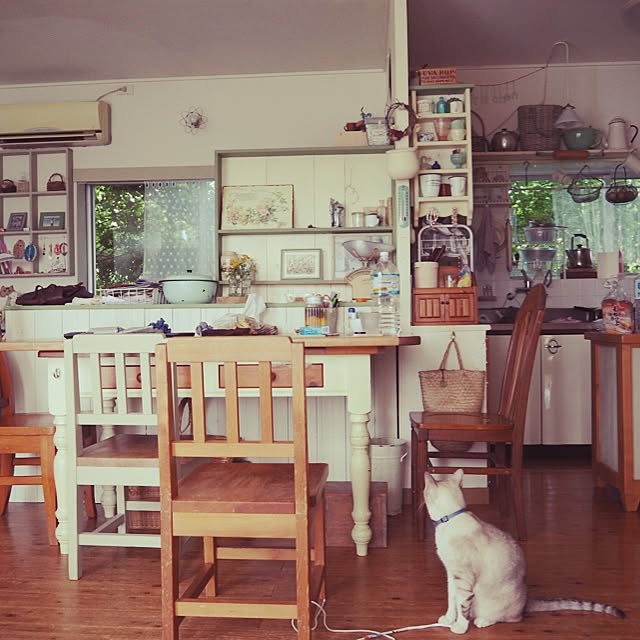toro_chii_milkさんの実例写真