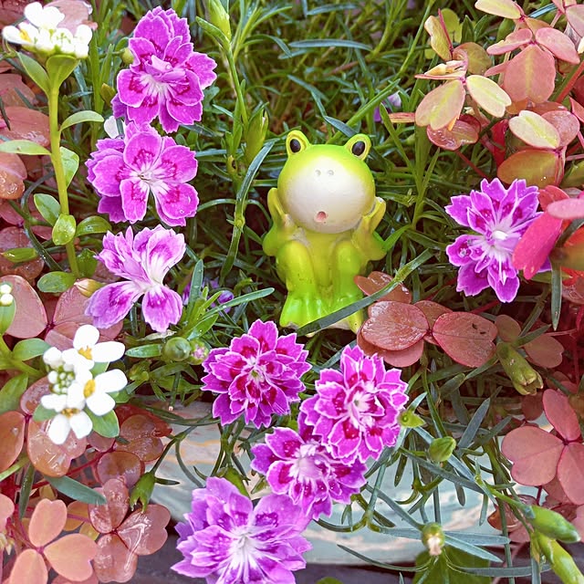 mocomocoさんの実例写真