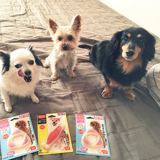 ohanaさんの実例写真