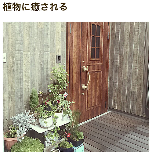 yukichi.wanwaさんの実例写真