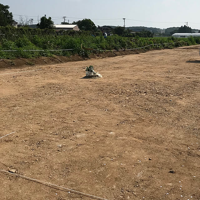 Rinさんの実例写真