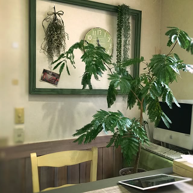 satochanさんの実例写真