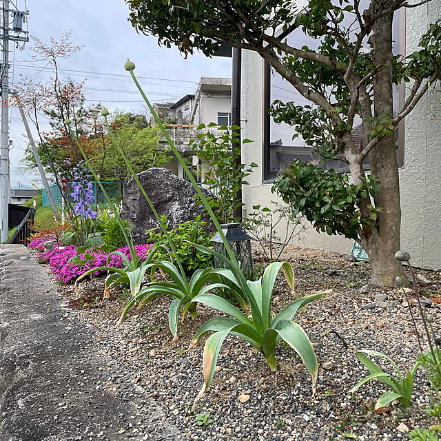 shin0719さんの部屋