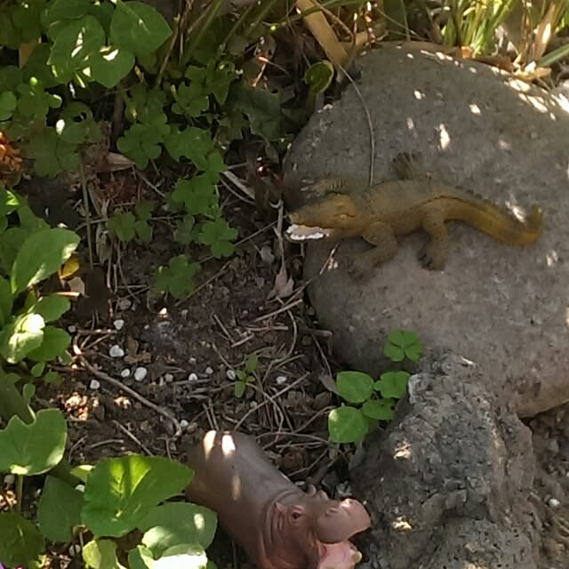 tibiさんの実例写真