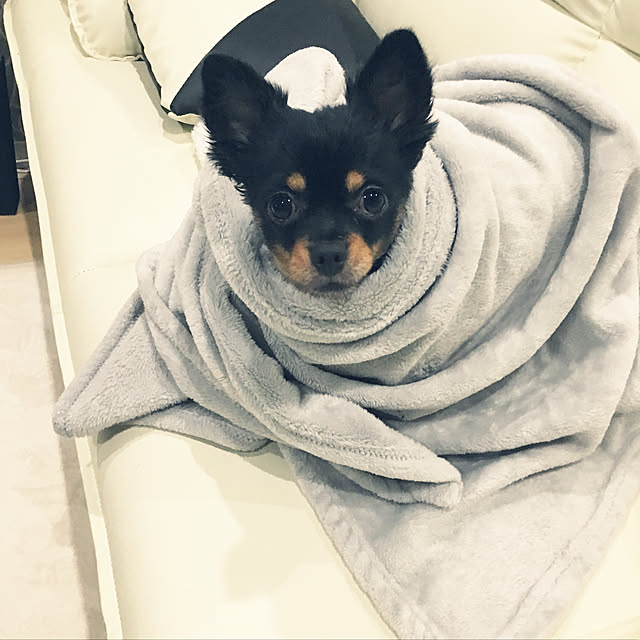 miitanさんの実例写真
