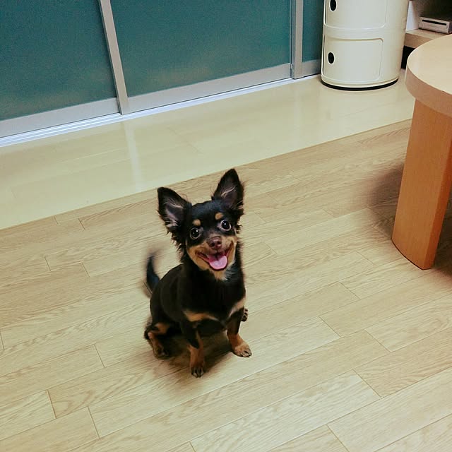 miyuさんの実例写真