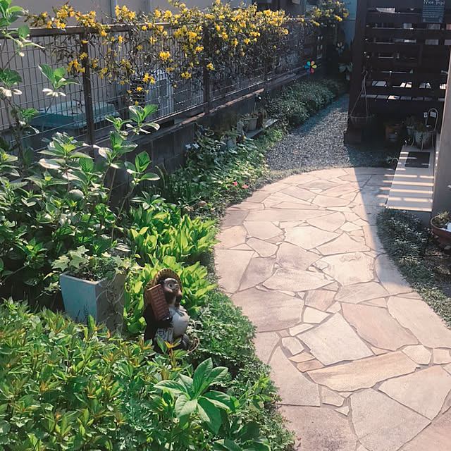 portulacaさんの実例写真