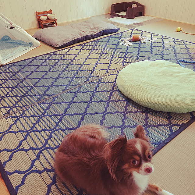 a.s.t.kさんの実例写真