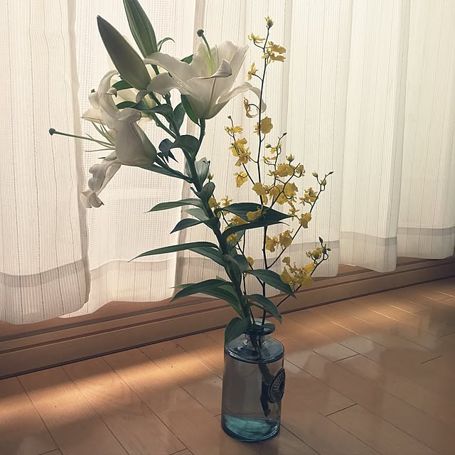 miSaさんの実例写真