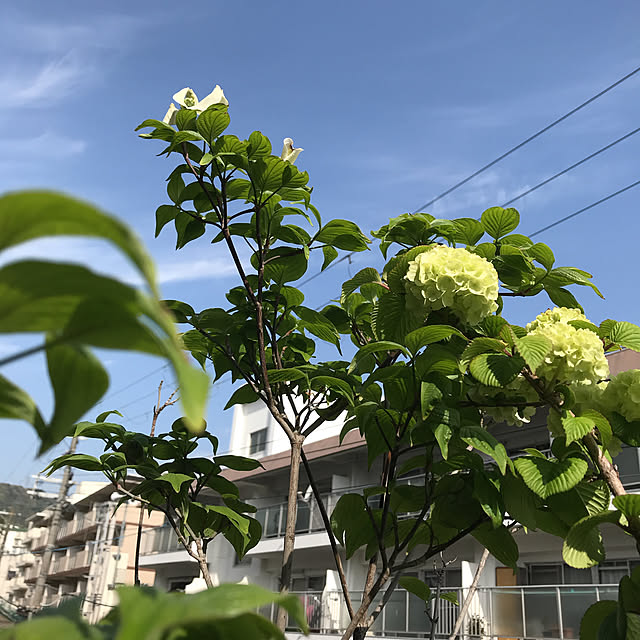 yukaさんの実例写真