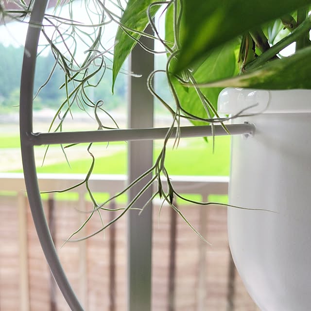 nachiさんの部屋
