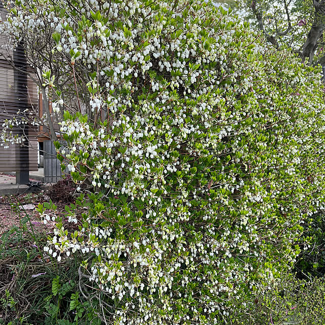 mogumoguさんの部屋