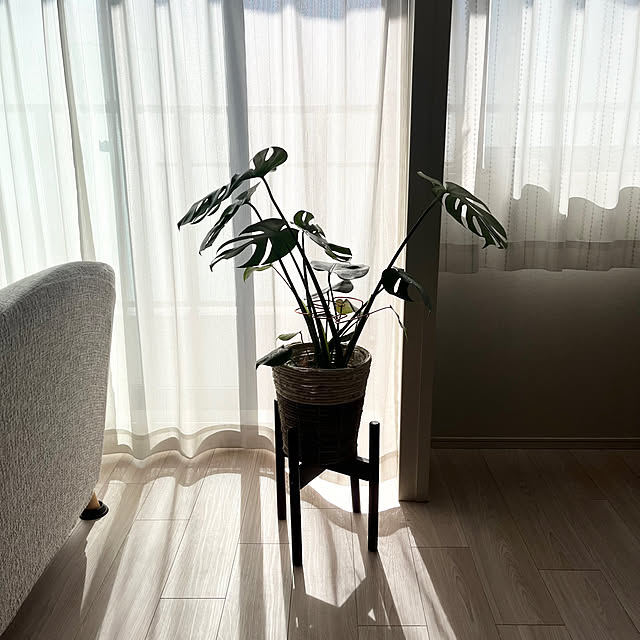 coppa_mijinさんの部屋