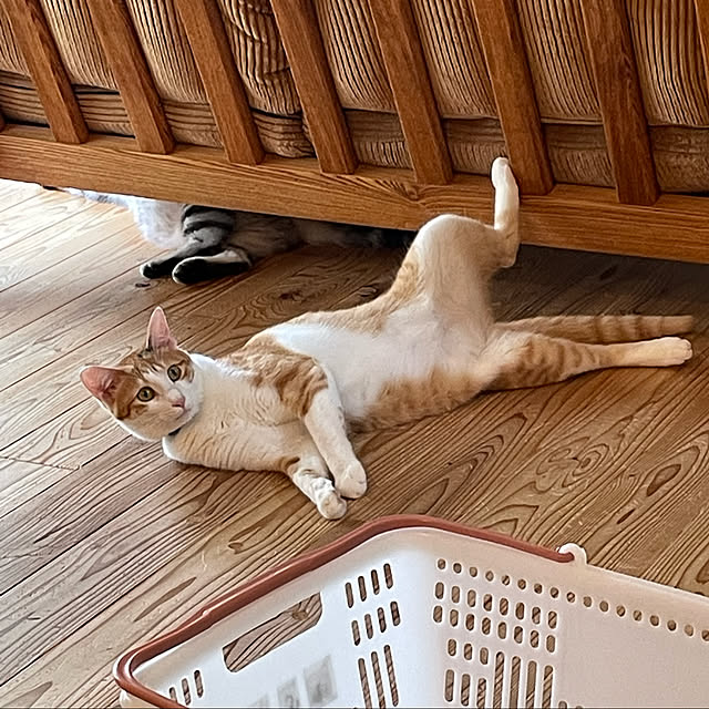Aさんの実例写真