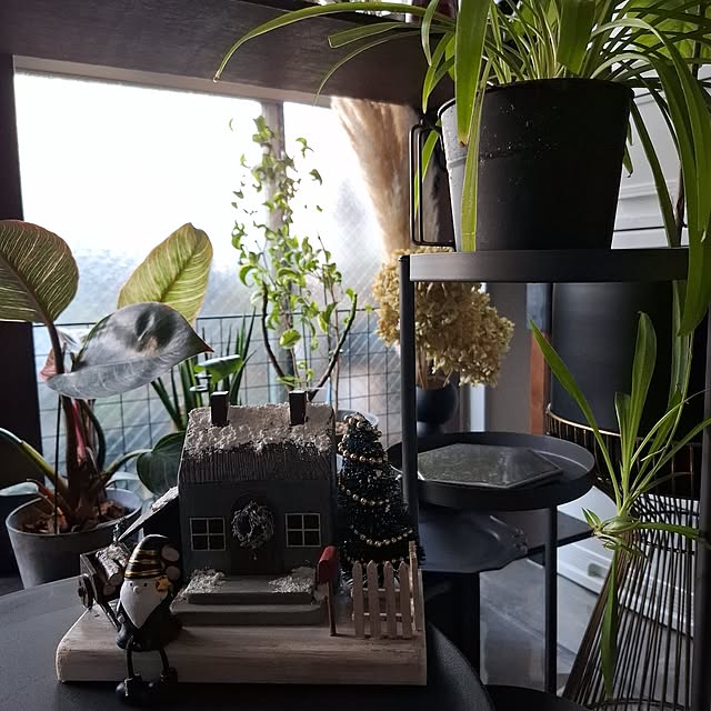 noaさんの実例写真