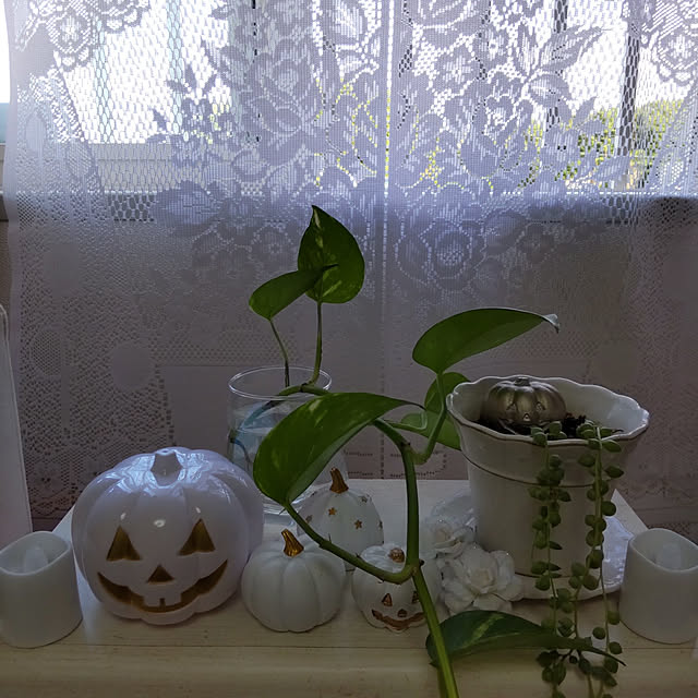 neoyukikoさんの実例写真