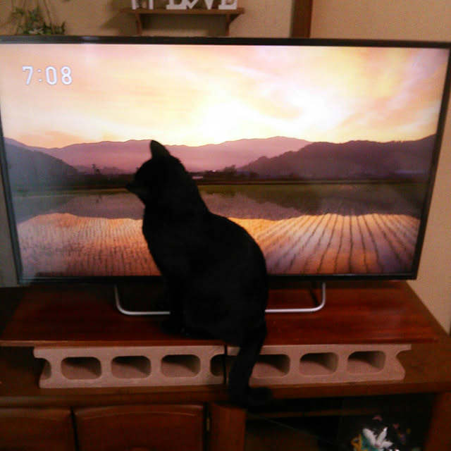 Tomopさんの実例写真