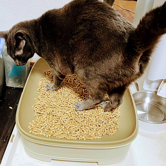 kikurinさんの部屋