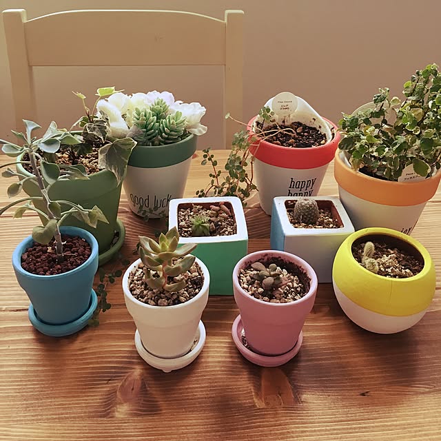 机/鉢植え/多肉植物/カラフル好き/観葉植物のインテリア実例 - 2017-03-16 14:51:31