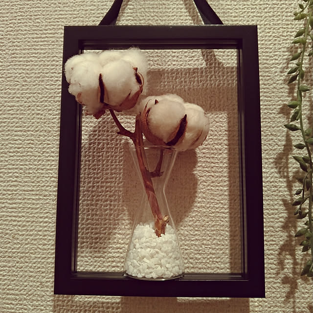 naosunさんの実例写真
