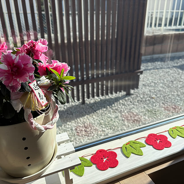 kyaro101さんの実例写真