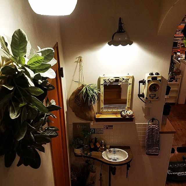 kosaさんの実例写真