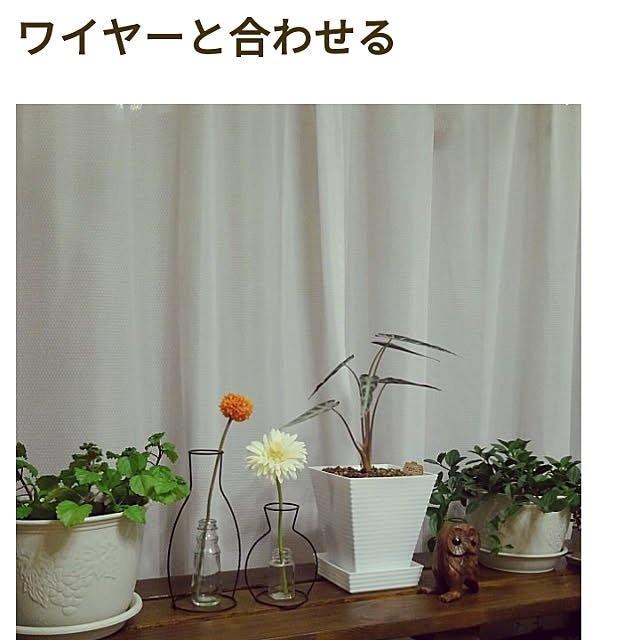Renさんの実例写真
