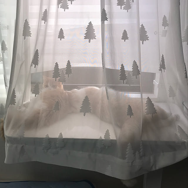 H.Tさんの実例写真