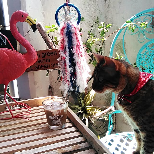 Rabbitさんの実例写真