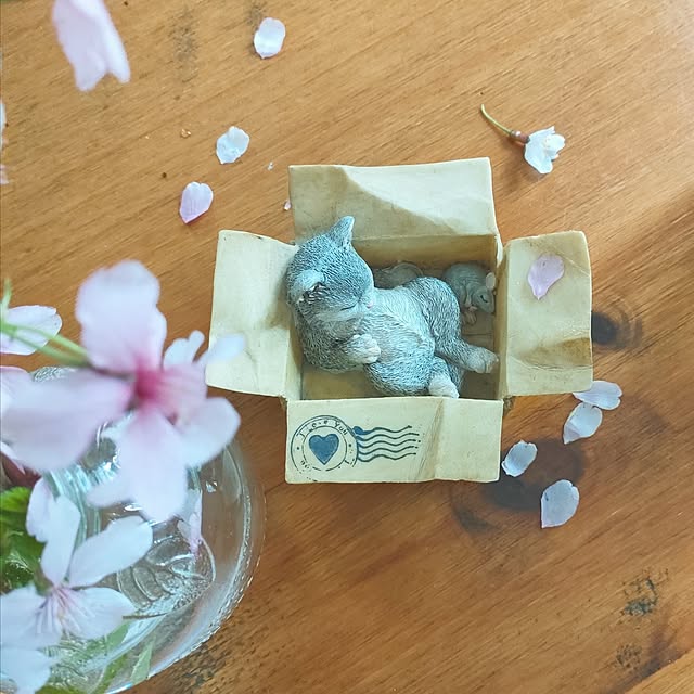 teamoさんの部屋