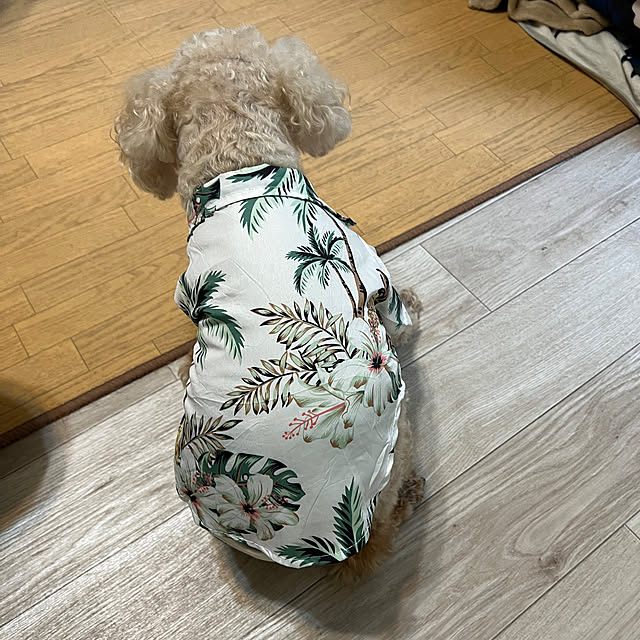 yukarimamaさんの部屋