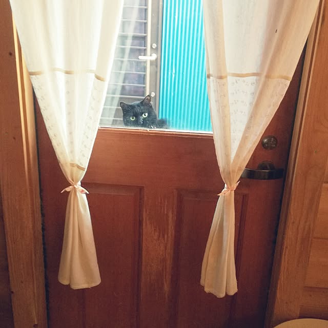 Maki-nekomamireさんの実例写真