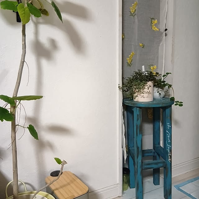 tomomiさんの部屋