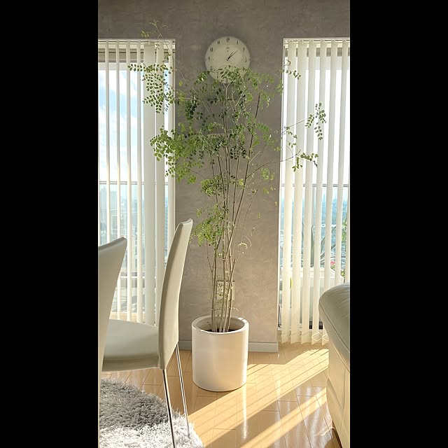 ikurassi_0813さんの実例写真