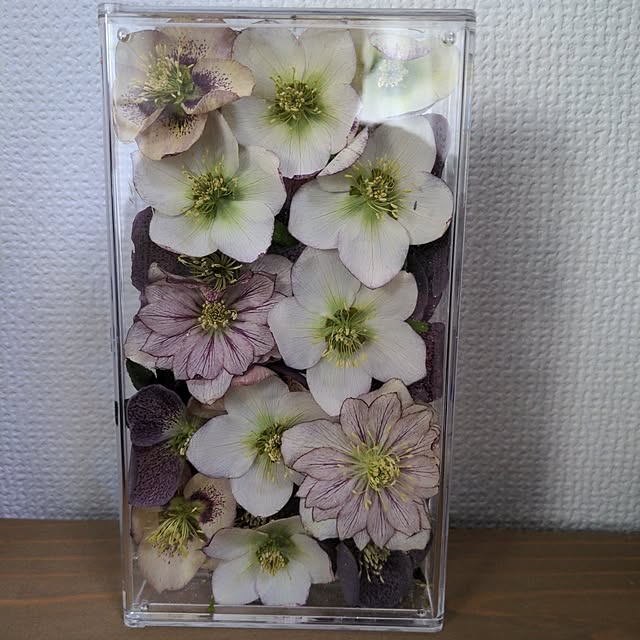 ryo.kotaさんの実例写真