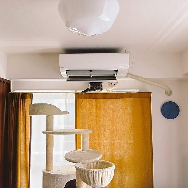 hirukumaさんの実例写真