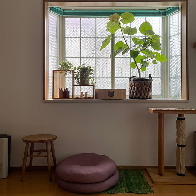 nobikoさんの部屋