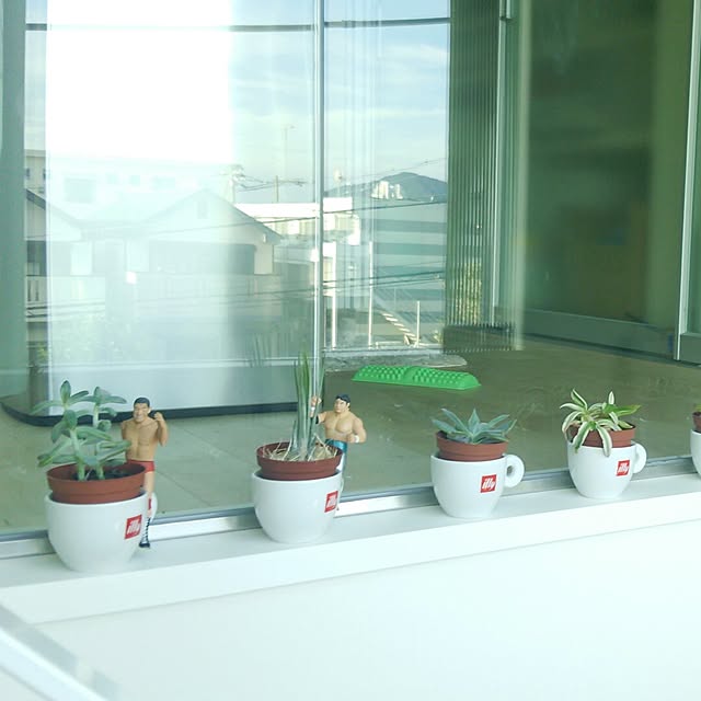kazuuさんの実例写真