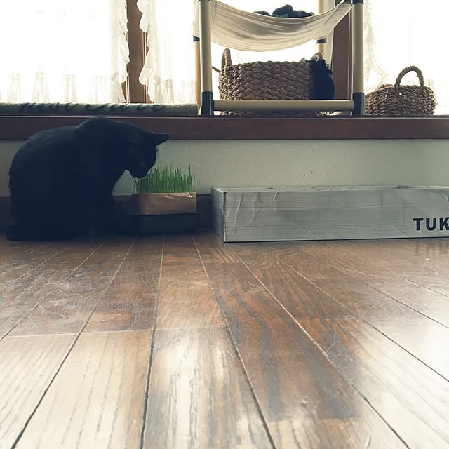 mahi1101さんの実例写真