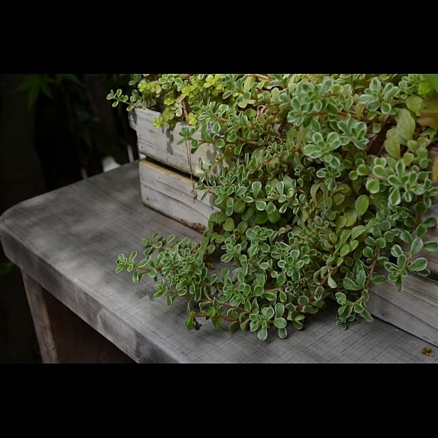 GreenWorksさんの実例写真