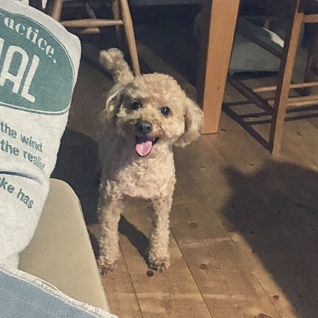 hi-coさんの実例写真